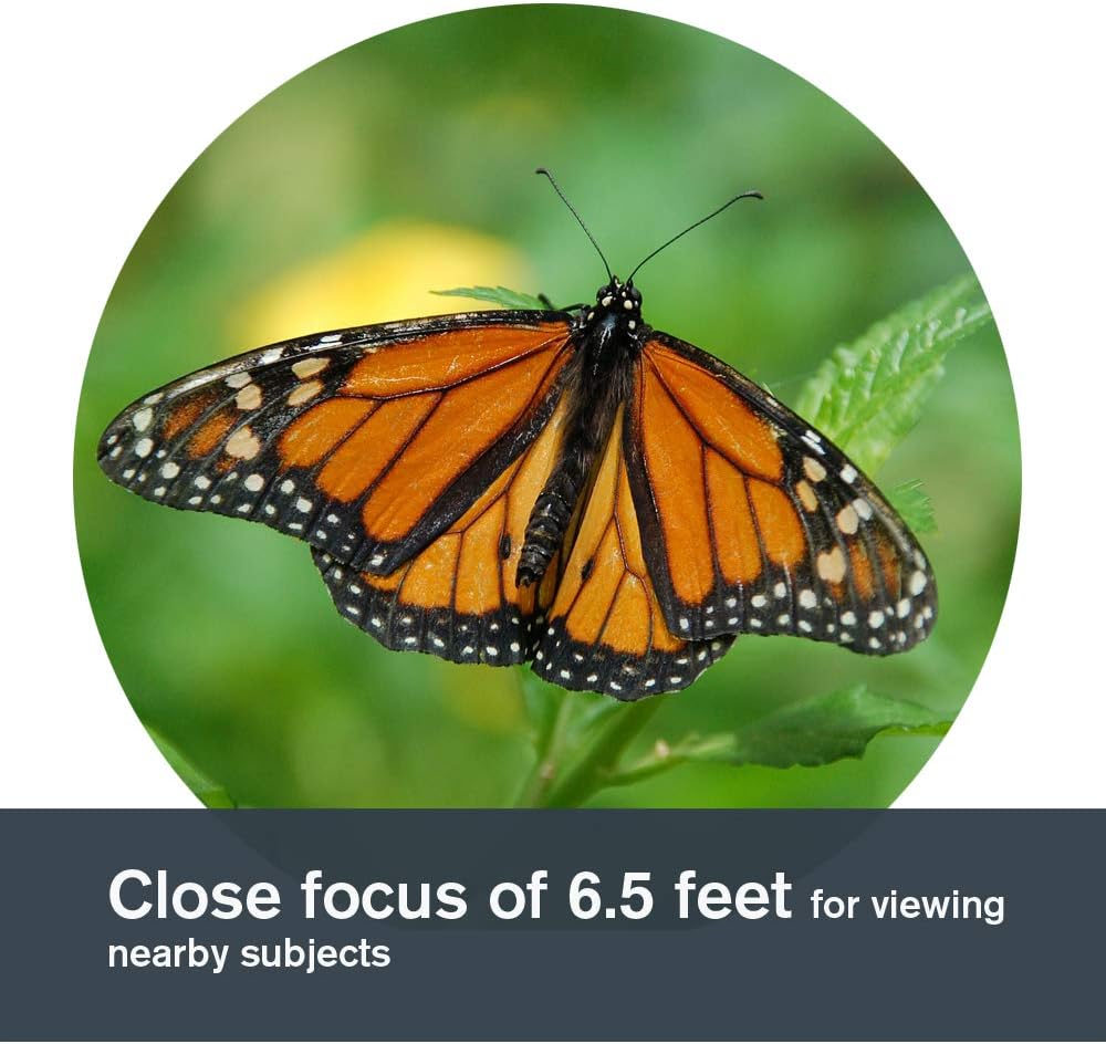 Celestron – Nature DX 8x42 Binoculars – Outdoor and Birding Binocular – Fully Multi-coated with BaK-4 Prisms – Rubber Armored – Fog Waterproof Binoculars – Top Pick Optics Celestron – Nature DX 8x42 Binoculars – Outdoor and Birding Binocular – Fully Multi-coated with BaK-4 Prisms – Rubber Armored – Fog Waterproof Binoculars – Top Pick Optics